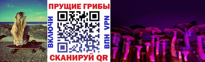 продажа наркотиков KRAKEN ССЫЛКА Псилоцибиновые грибы Magic Shrooms Дрезна